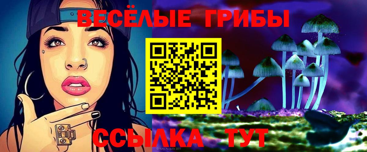 Славянск-на-Кубани  Галлюциногенные грибы Cubensis  Вход с VPN 